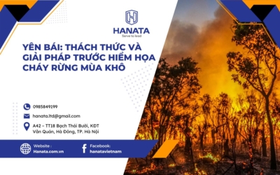 Yên Bái: Thách Thức Và Giải Pháp Trước Hiểm Họa Cháy Rừng Mùa Khô